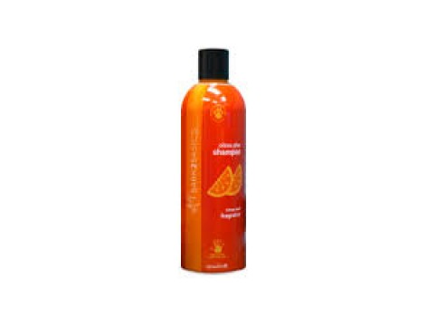 Bark 2 Basics Citrus Plus Shampoo 16 oz